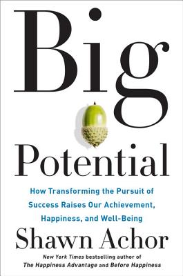 Big Potential: How Transforming the Pursuit of Success Raises Our Achievement, Happiness, and Well-B
