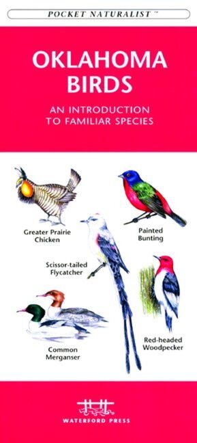  Pennsylvania Birds: A Folding Pocket Guide to Familiar Species