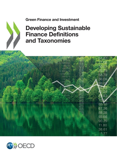 Developing Sustainable Finance Definitions and Taxonomies