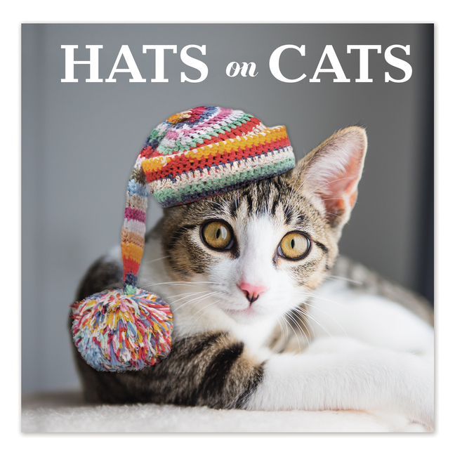  Hats on Cats