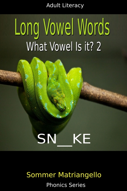 Long Vowel Words: What Vowel Is It? 2