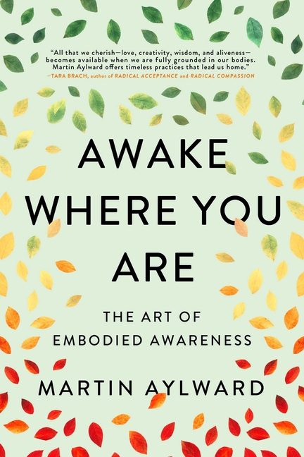  Awake Where You Are: The Art of Embodied Awareness