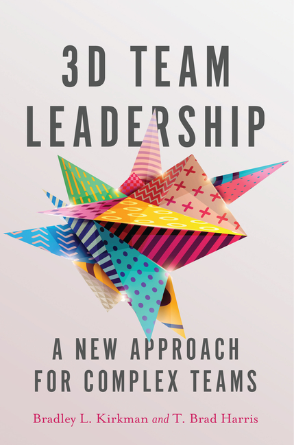 3D Team Leadership: A New Approach for Complex Teams