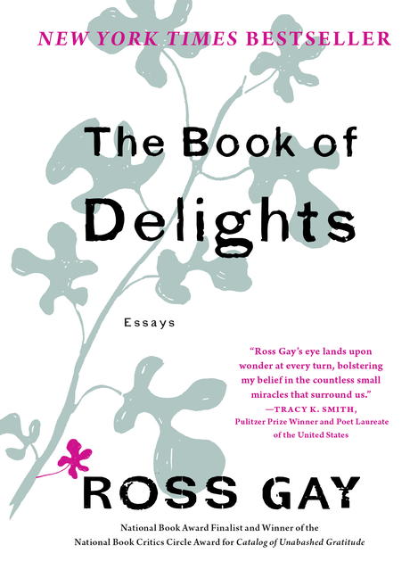 Book of Delights: Essays