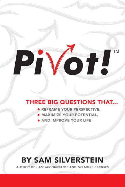 Pivot!: Three Big Questions That...Reframe Your Perspective, Maximize Your Potential, and Improve Yo