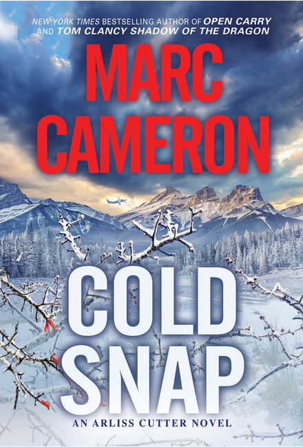  Cold Snap: An Action Packed Novel of Suspense