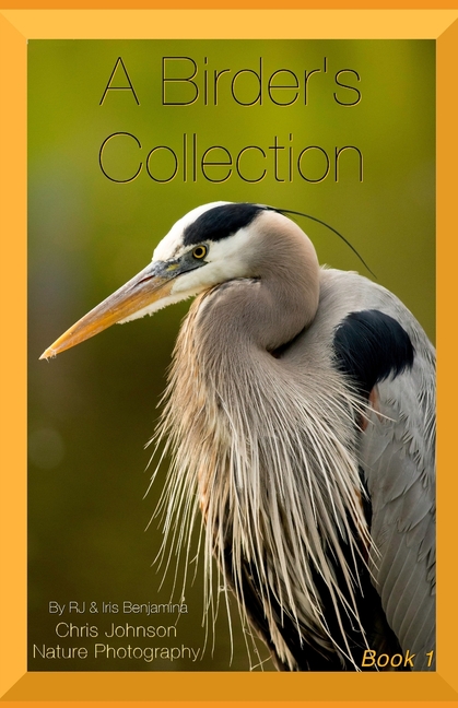 A Birder's Collection