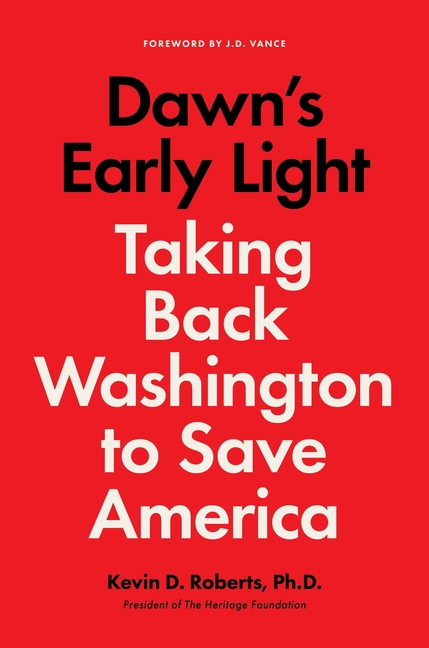 Dawn's Early Light: Taking Back Washington to Save America