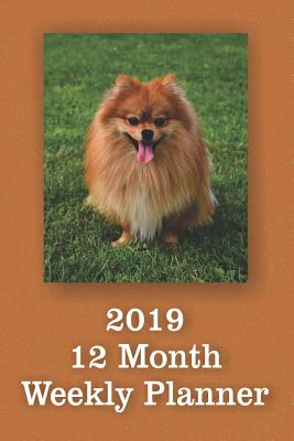  2019 12 Month Weekly Planner: 1 Year Daily/Weekly/Monthly Planner, January 2019-December 2019, Pomeranian Cover