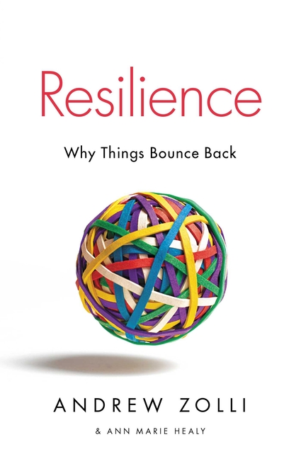  Resilience: Why Things Bounce Back