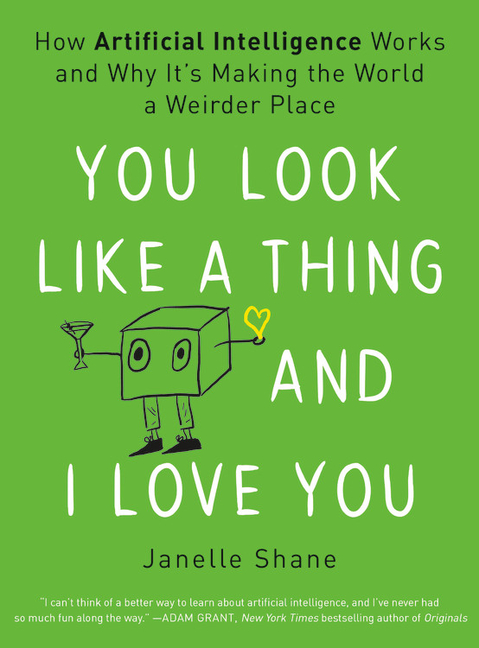 You Look Like a Thing and I Love You How Artificial Intelligence Works and Why It's Making the World
