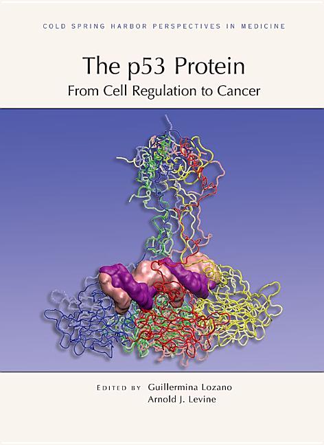 P53 Protein: From Cell Regulation to Cancer