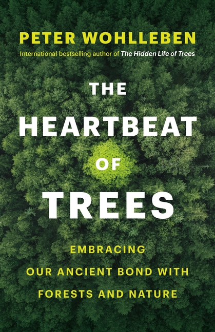 Heartbeat of Trees: Embracing Our Ancient Bond with Forests and Nature