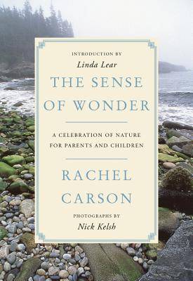 Sense of Wonder: A Celebration of Nature for Parents and Children