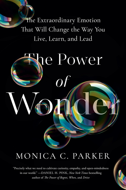 Power of Wonder: The Extraordinary Emotion That Will Change the Way You Live, Learn, and Lead