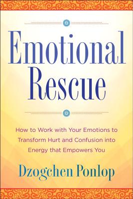 Emotional Rescue: How to Work with Your Emotions to Transform Hurt and Confusion Into Energy That Em
