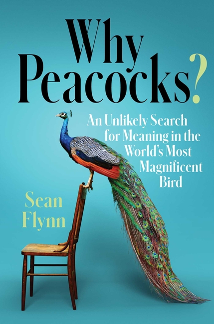 Why Peacocks?: An Unlikely Search for Meaning in the World's Most Magnificent Bird