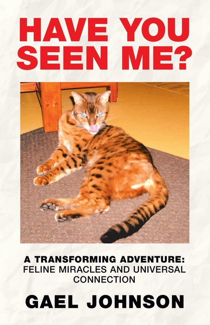 Have You Seen Me?: A Transforming Adventure: Feline Miracles and Universal Connection