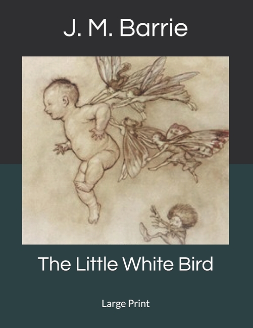 The Little White Bird: Large Print