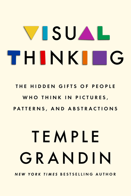 Visual Thinking The Hidden Gifts of People Who Think in Pictures, Patterns, and Abstractions