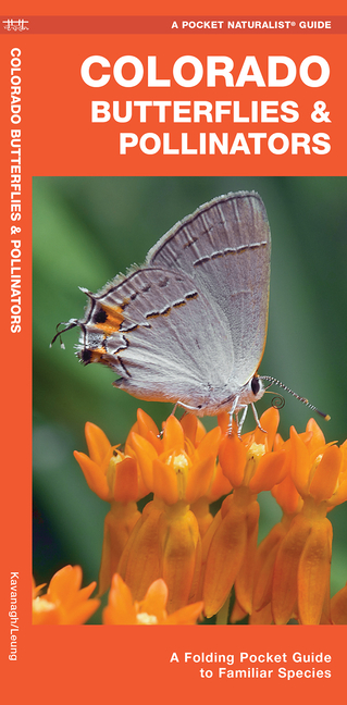  Colorado Butterflies & Pollinators: A Folding Pocket Guide to Familiar Species