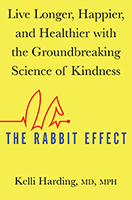 RabbitEffect-web-cover.jpg