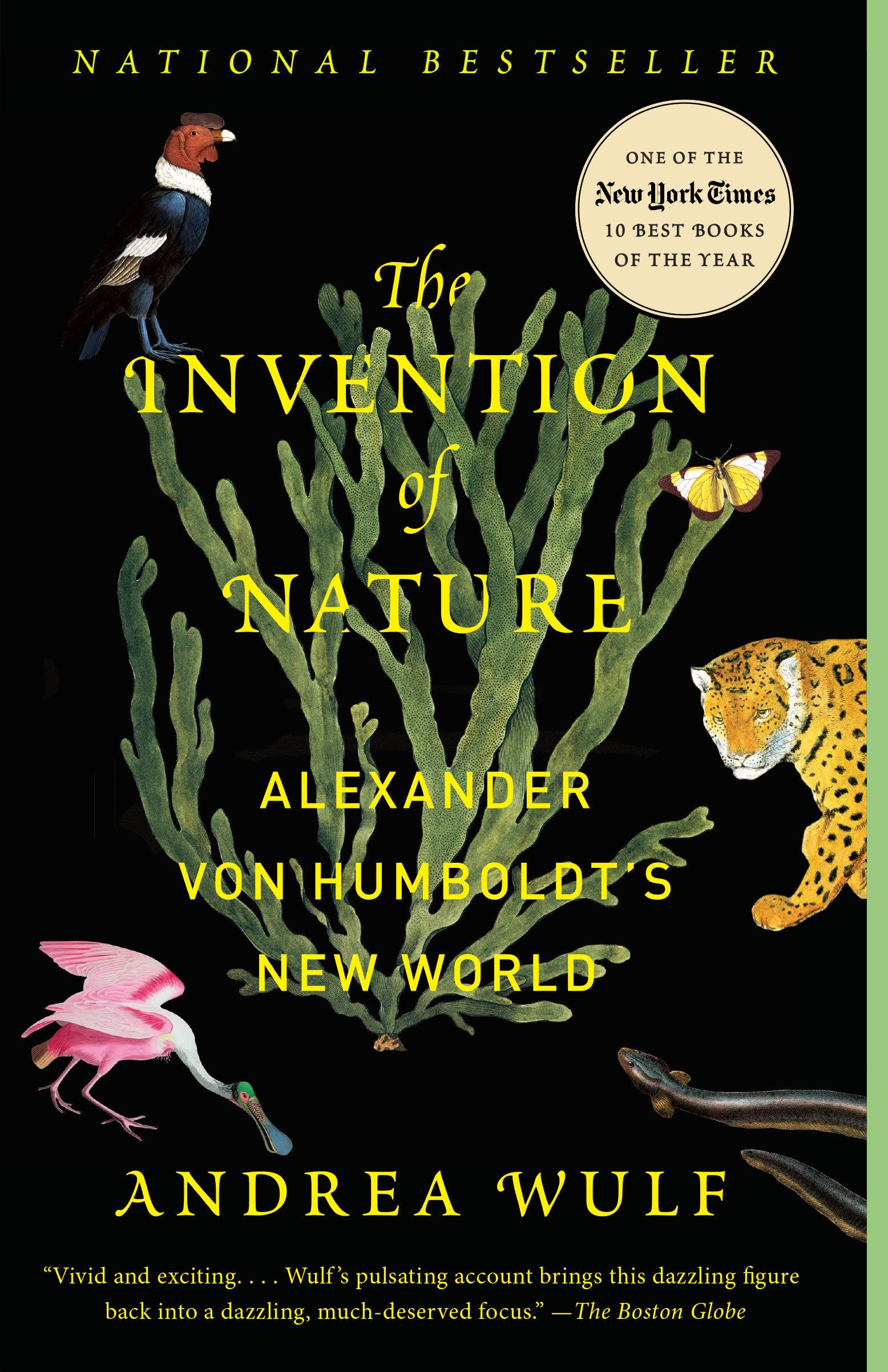 The Invention of Nature by Andrea Wulf